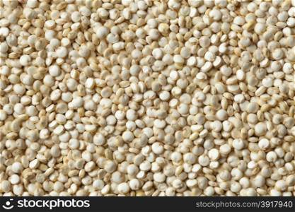 Raw Quinoa seeds full frame close up