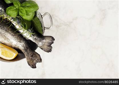 Raw rainbow trout with lemon, herbs and spices