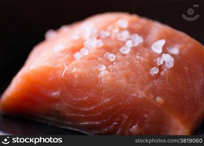 Raw red fish fillet with sea salt on dark pan, close up, selective focus