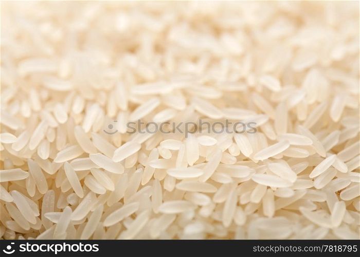 raw rice background