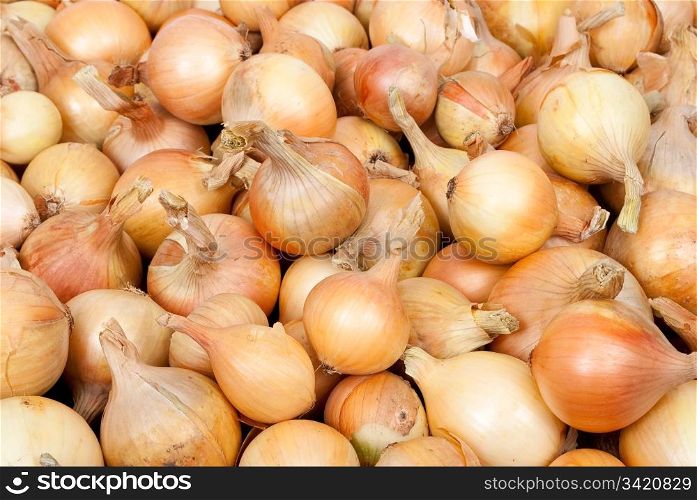 Raw ripe onions