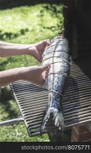 Raw salmon fish on grill. Outdoor cooking