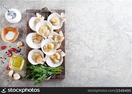 Raw scallops in shells on wooden tray. Mediterranean seafood. Fresh Shellfish. Aequipecten opercularis. Pecten Jacobaeus
