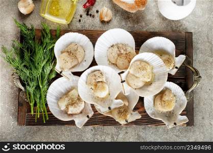 Raw scallops in shells on wooden tray. Mediterranean seafood. Fresh Shellfish. Aequipecten opercularis. Pecten Jacobaeus