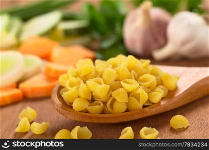 Raw shell pasta or conchiglioni on wooden spoon with raw vegetables (carrot, leek, zucchini, garlic) in the back (Selective Focus, Focus on the front of the pasta on the spoon) . Raw Shell Pasta with Vegetables