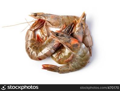 raw shrimp isolated on a white background. raw shrimp