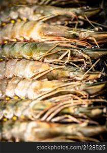 Raw shrimp. Macro background. Shrimp texture. High quality photo. Raw shrimp. Macro background. Shrimp texture.