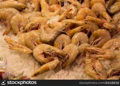 Raw shrimp with head,fresh and ready to cook