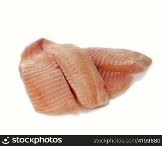 raw tilapia fillets on a white background