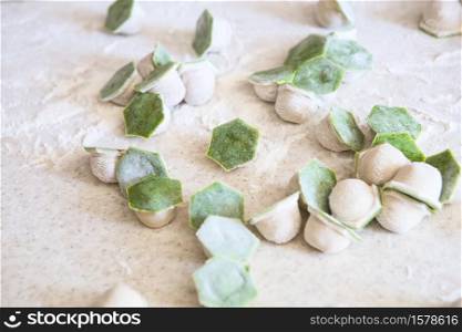 raw two-tone white and green dumplings with spinach, cheese or meat on a table with flour