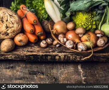 raw vegetables and edible root various on dark wooden rustic background