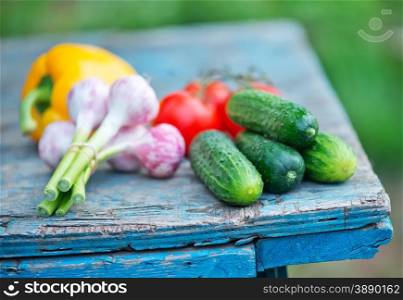 raw vegetables on a table in the garden