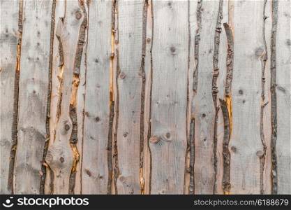 Raw wood background with grey planks with bark