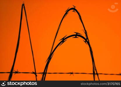 Razor Wire and Barbed Wire With Orange Background