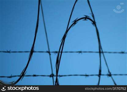 Razor Wire Curves and Barbed Wire Stripes in Blue