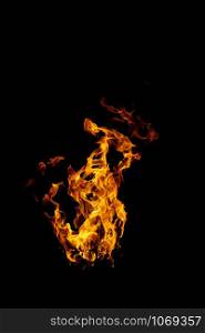 real and hot flames are burning on a black background.