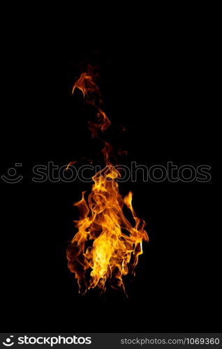 real and hot flames are burning on a black background.