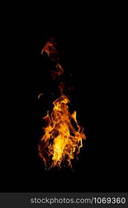 real and hot flames are burning on a black background.