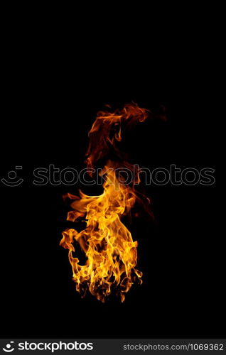 real and hot flames are burning on a black background.