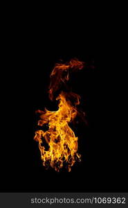 real and hot flames are burning on a black background.