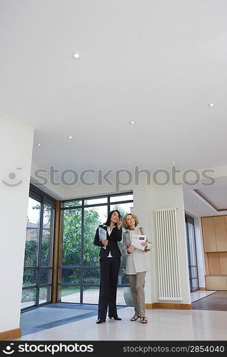 Real Estate Agent Talking to Client