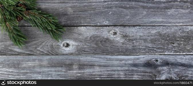 Real Fir tree branches on rustic wooden plank background for a merry Christmas or happy New Year holiday celebration concept