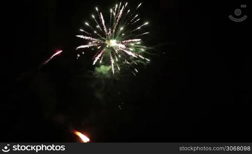 Real fireworks on the background of dark sky