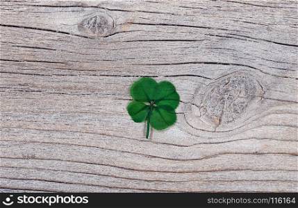Real four leaf clover on rustic wooden background