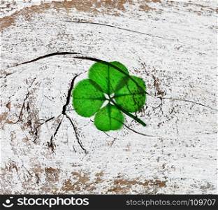 Real four leaf clover on rustic wooden boards in overhead view