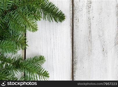 Real Nobel Fir tree branches on rustic white wooden boards. Christmas season concept.