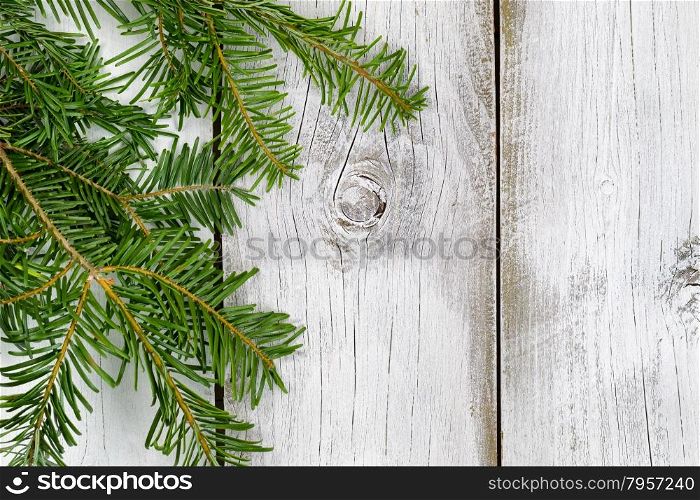 Real North American Grand Fir tree branches on rustic white wooden boards flowing vertically. Christmas season concept.