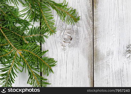 Real North American Grand Fir tree branches on rustic white wooden boards flowing vertically. Christmas season concept.