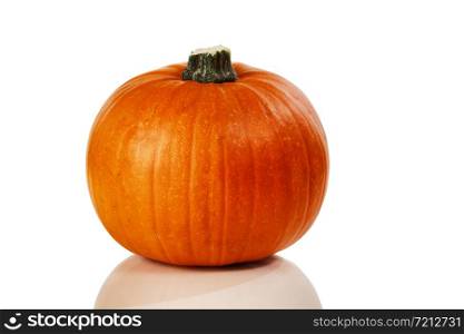 Real pumpkin isolated on white background for Autumn Halloween holiday concept with reflection