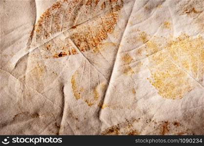 Real texture of the prints of plant leaves on crumpled paper. Not an art. Simple background. Leafy rough dye print.. Real texture of the prints of plant leaves on crumpled paper. Not an art. Simple background.