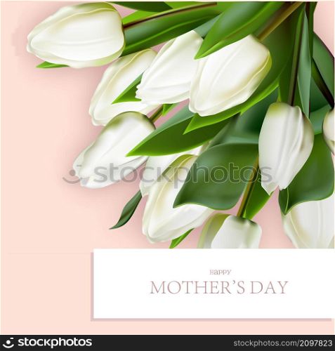 REALISTIC BOUQUET OF TULIPS. banner for mothers day.White tulips on pink background.yu Happy mothers day greeting card.. REALISTIC BOUQUET OF TULIPS. banner for mothers day.White tulips on pink background.yu Happy mothers day greeting card
