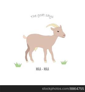 Realistic drawn goat on a light background with maa sounds. Educational card for children with farm animal. Vector realistic drawn standing goat which says maa. Educational illustration for children with domestic farm animals
