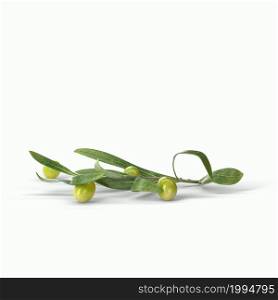 Realistic green olives on a branch isolated white background. 3d illustration, fit for your design project.