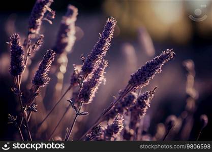 Realistic Lavender Flower Natural Background. Illustration AI Generative