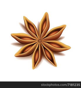 Realistic vector top view of dry star anise fruit and seeds isolated on white, vector anise illustration