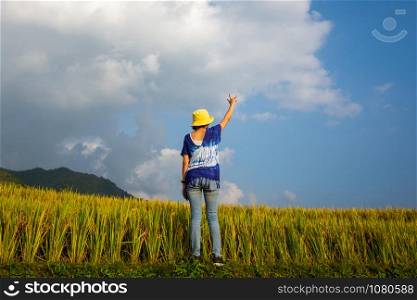 rear of woman stand at rice field with sunny day and blue sky. soft focus.