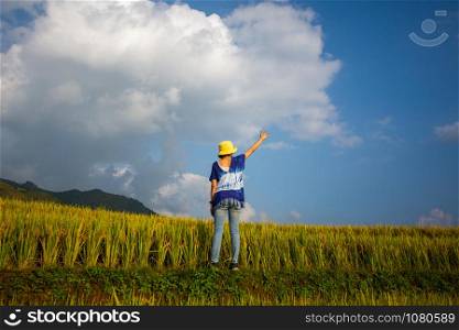 rear of woman stand at rice field with sunny day and blue sky. soft focus.