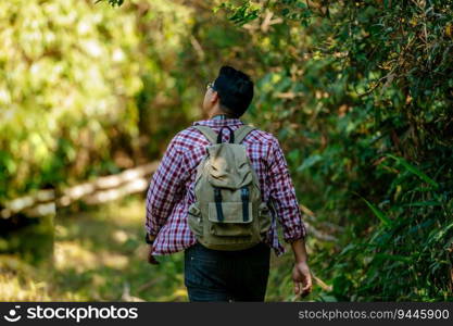 Rear view back of Young asian hiking man walking with backpack on trail in nature forest, copy space