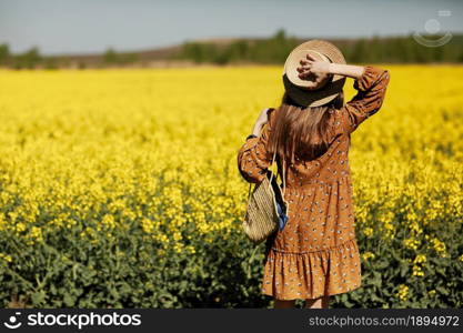 Rear view. beautiful young woman in a dress holding a hat and walking in a rapeseed field for summer, view from the back. copy space. summer holiday concept.. Rear view. beautiful young woman in a dress holding a hat and walking in a rapeseed field for summer, view from the back. copy space. summer holiday concept