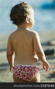Rear view of a baby boy