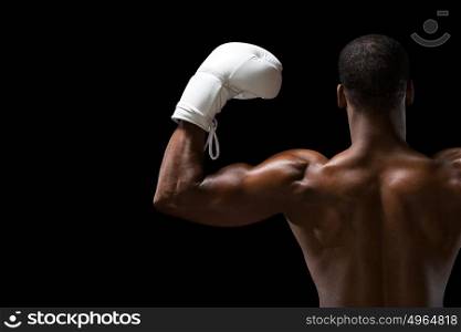 Rear view of a boxer