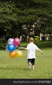 Rear view of a boy holding balloons in a park