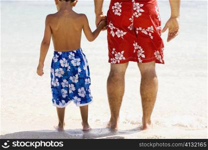 Rear view of a boy holding his father&acute;s hands standing on the beach