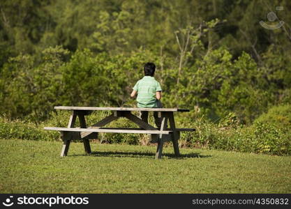 Rear view of a boy sitting on a bench