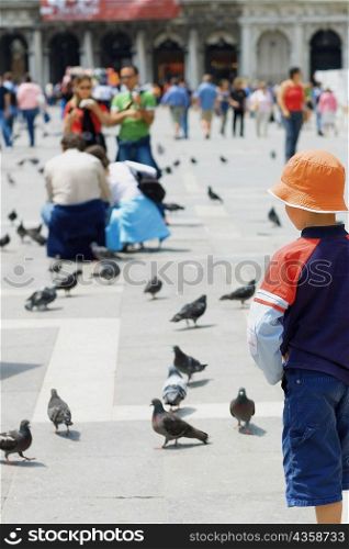 Rear view of a boy standing and looking at pigeons, Venice, Veneto, Italy