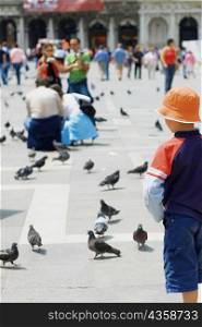 Rear view of a boy standing and looking at pigeons, Venice, Veneto, Italy